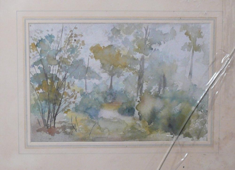 C 32 Friary Wood